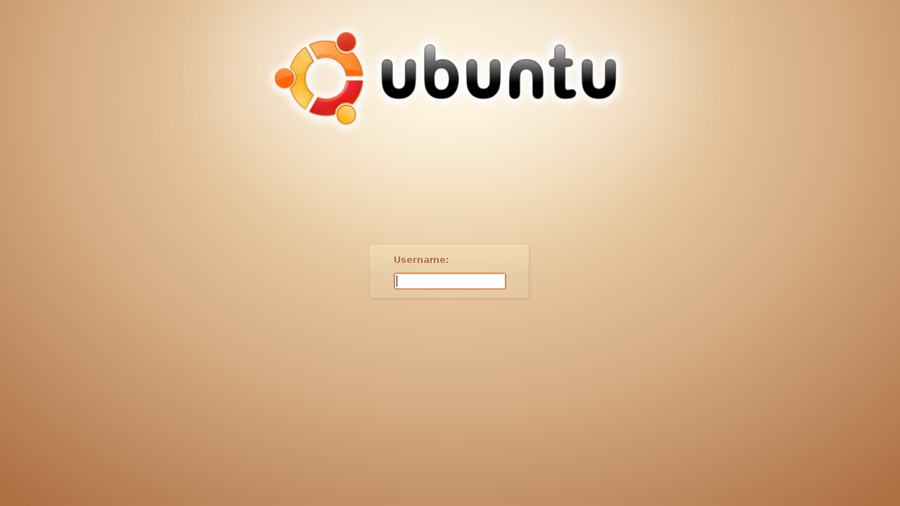 Ubuntu 7.04 login